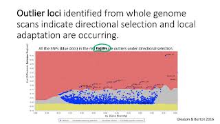 BIO178 Week 7 Local Adaptation Molecular