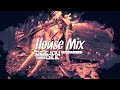 Deejay Dee - House Mix #2