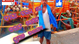 ଦୀଘା ରେ ବରଫ କେମିତି ଲୁଡିଗି Digha fishingକରାଯାଏ talar barf loding