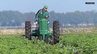 Provinciale ploegwedstrijd in Zuidbroek (Gr)