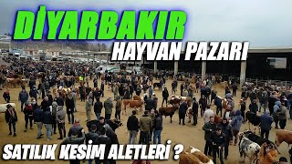 2022 YILI MEŞHUR DİYARBAKIR HAYVAN PAZARI FİYATLARI | SATILIK KESİMHANE ?