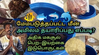 மேம்படுத்தப்பட்ட மீன் அமிலம் தயாரிப்பது எப்படி? | How to prepare enhanced fish acid | TAMIL