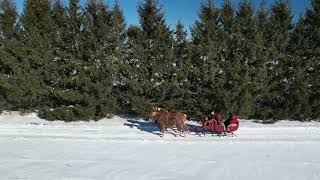 Evergreen Hill Farm