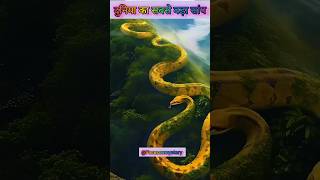 अमेजन जंगल का सबसे बड़ा सांप #mystery #amazonfact #trend #ytshorts #shorts #jungle #viral