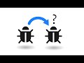 Wait, but Who's Debugging the Debugger?!