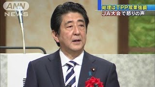 総理「TPP、最善の結果得た」　JA大会では怒りの声(15/10/15)