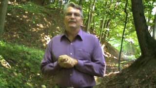 Exposing the doctrine of the Trinity as evil & of antichrist, part 1 of 10.
