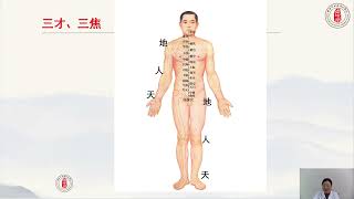 19  妇科子宫肌瘤、卵巢囊肿黄帝内针的原理、手法