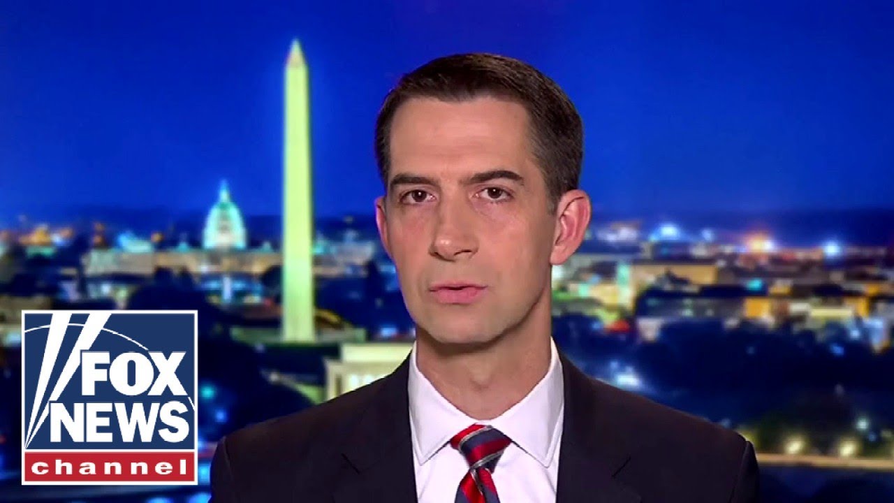 We need to hold Dems accountable for destroying our kids: Cotton