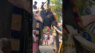 തൃക്കടവൂർ ശിവരാജു🐘 | Thrikkadavoor Shivaraju |