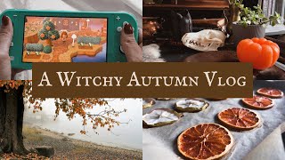 Autumn Altar decorations, Pumpkin Bread, Animal Crossing Tour - A Witchy Autumn Vlog 🍂