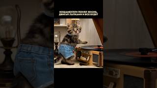 Кошамбулли понял жизнь, двигай лапками и все будет #кот #music #cat #музыка #прикол #love #котик