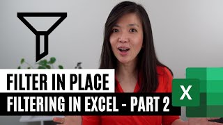 Filtering Options in Excel: Filter In Place | Part 2 of 4