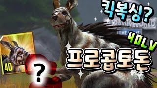 공격모션 복싱? VIP전설 프로콥토돈 만렙 리뷰! | Jurassic world the game procopthodon