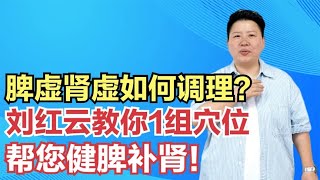 脾虚肾虚如何调理？刘红云教你1组穴位，帮您健脾补肾