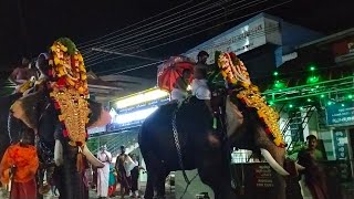 Pachalloor (Chudukadu) Sree Bhadrakali Devi Temple പാച്ചല്ലൂര Thiruvananthapuram Elephant parrade