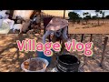 Village Vlog | Namibian YouTuber | #namibianyoutuber  |#namibia