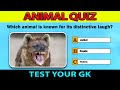 Unlock Your Animal IQ! 11 Mind Games | KidsGame | #mindgames&puzzles ! #AnimalQuiz2023 | BrainTeaser