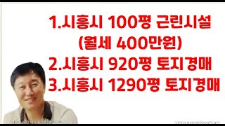 [경매사령관 307강]시흥시 토지경매/월세400만 100평토지/920평토지/1290평 토지경매