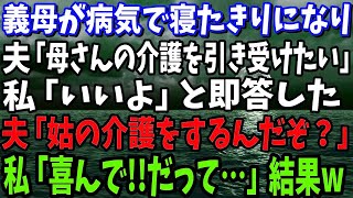 【スカッと】義母が病気で寝たきりになり、夫の「母さんの介護を引き受けたい」という提案に私は「いいよ！」と即答した…夫「姑の介護をするんだぞ？いいのか？」私「喜んで！」だって私は…