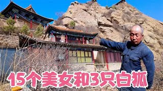 山西巨型石头山，悬崖上竟有15个美女和3只白狐住在一起，真少见