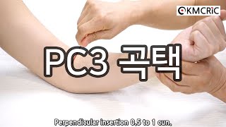 PC3 곡택 曲澤 Quze (Eng sub) - KMCRIC WHO Standard acupoint DB