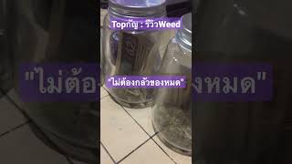 Topกัญ : รีวิวWeed