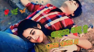 ସାଥିରେ ସାଥି ତୁ🌹ପାଖେ ପାଖେ ଥା🌿(odia new WhatsApp status)💕Love story song💕(77k.)...