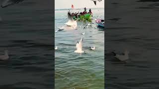 #shortvideo #trending #travel #banaras #kashibanaras #ghat #ganga