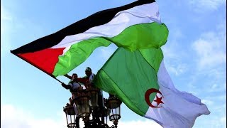 La joie des Palestiniens de Gaza après la victoire de l'Algerie. Juillet 2019