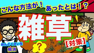 【必見】これで雑草対策はバッチリ！畑・花壇・庭で使える技紹介！こんな方法があったとは！？【アニメでわかる家庭菜園お役立ち情報】