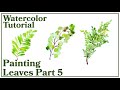 Watercolor Tutorial | Paint Simple Leaves Step by Step PART 5 (3 Kinds of Ferns)