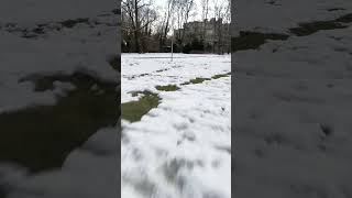 Learning FPV - Green Track in Snow V (DJI Neo)