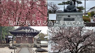 塩山の桜を見る為に歩いてみた(ZAKILOG Vol.16)