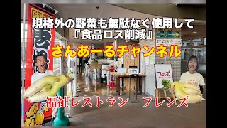 さんあーるチャンネル ～食品ロス削減の取り組み「福祉レストラン　フレンズ」～