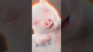 Cute piggy dance like crazy #edits #pig #cute #crazy