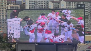 240323 최강기아타이거즈 최형우, 크로우 선수의 승리의 챔터뷰 + 승리의 세레머니