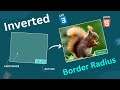 CSS Hack: Create Inverted Border Radius Card using HTML and CSS.