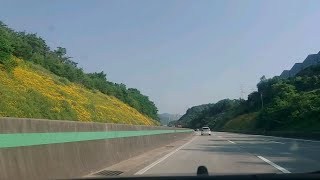 동해expressway lucky drive