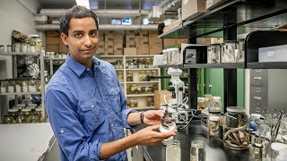 Prosanta Chakrabarty | AAAS Fellow