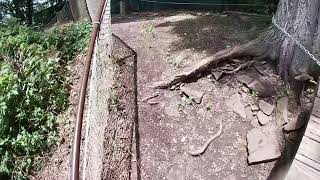 Rope swing in brownstone and discovery park