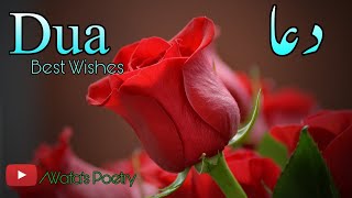 Happy Birthday Wishes Poetry | Best Wishes | Birthday Dua WhatsApp Status | Dua Shayari