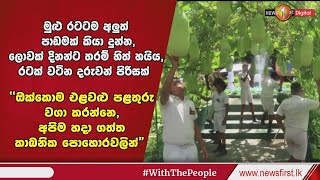 මුළු රටටම අලුත්  පාඩමක් කියා දුන්න ලොවක් දිනන්ට තරම් හිත් හයිය රටක් වටින දරු පිරිසක්