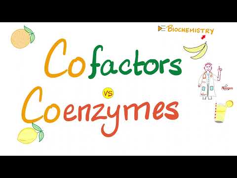 Is iron a cofactor or coenzyme?