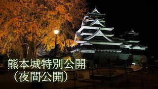 熊本城特別公開（夜間公開）2020年12月6日（日）最終日