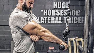 5 “Horseshoe” Tricep Exercises  (YOU’RE MISSING THESE!)