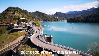 20210120 再訪石門水庫梅花楓紅