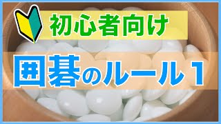 囲碁って何するゲームなの？【ルール説明１】【囲碁#41】