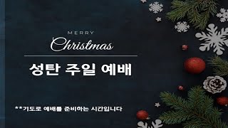 성탄 주일 예배 ㅣ 샴버그침례교회 ㅣ 2024년 12월 22일