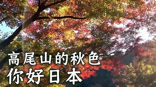 【你好日本】高尾山——從都市到自然的高尾秋色